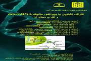 کارگاه آشنایی با بیوانفورماتیک microRNA و کاربردهای آن در پژوهشکده علوم دارویی