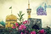 پیام تبریک رئیس مرکز تحقیقات علوم دارویی به مناسبت میلاد امام رضا (ع)