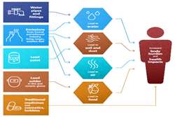 Launch of World Health Organization (WHO) Guideline for Clinical Management of Exposure to Lead