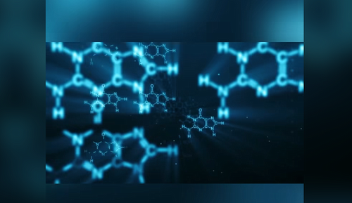 نشست علمی «فرگشت دستگاه لذت در مغز»