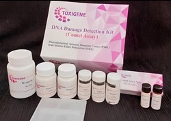 طراحی و تولید کیت تشخیص آسیب‌های ژنتیکی در مرکز تحقیقات علوم دارویی 