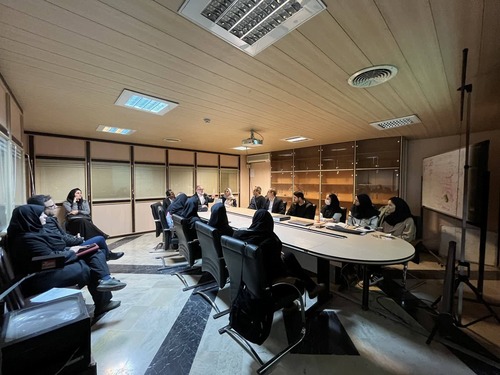 دستاورد جدید در حوزه نانوتکنولوژی: تولید نانوذرات دارو رسان با روش میکرو سیالات